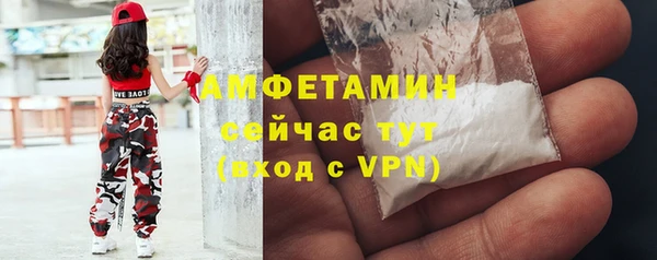 сатива Ахтубинск